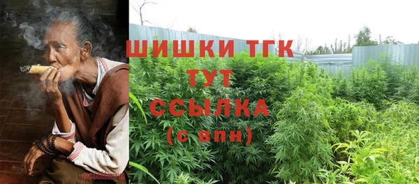 прущие крисы Белокуриха